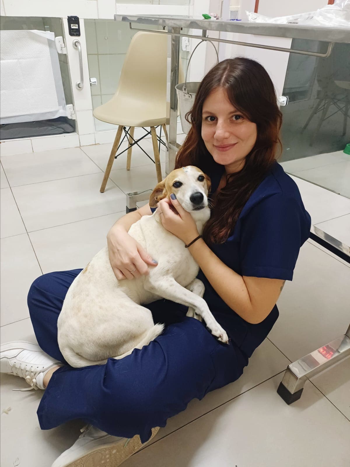 Dra. Leticia Alves em atendimento clínico com cão no consultório veterinário