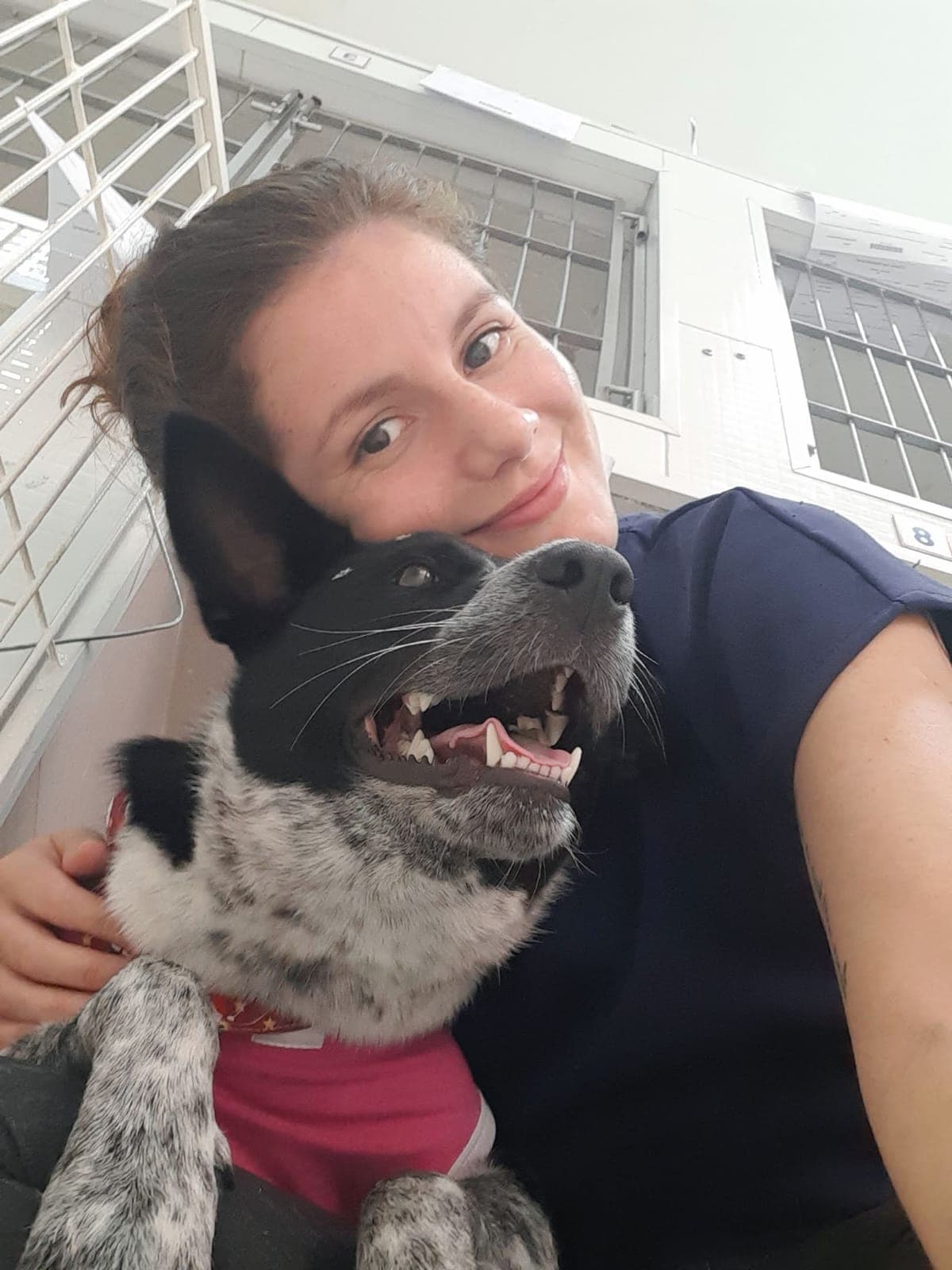 Atendimento veterinário em ambiente clínico acolhedor