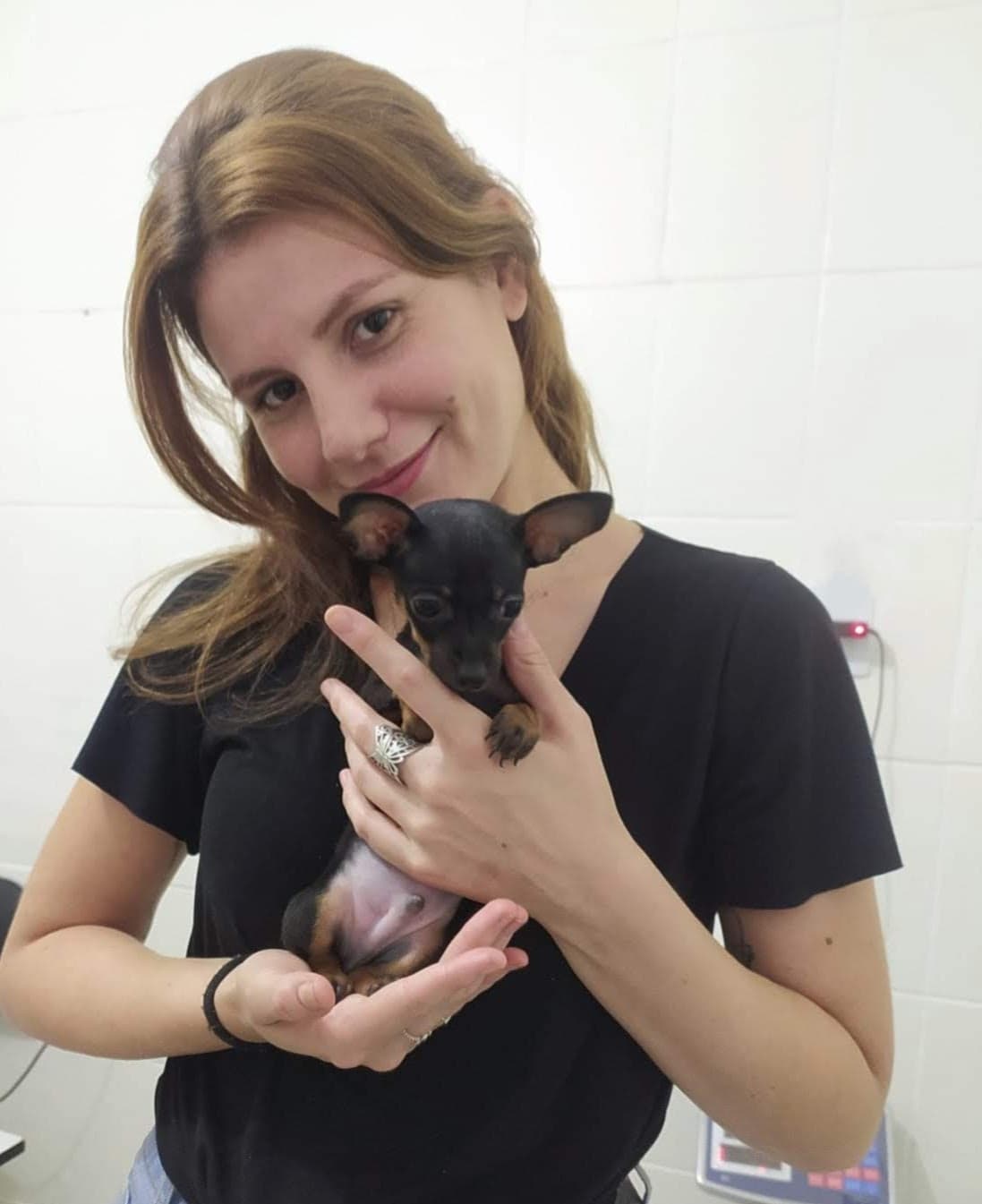 Dra. Leticia Alves acolhendo um pequeno pinscher filhote com delicadeza